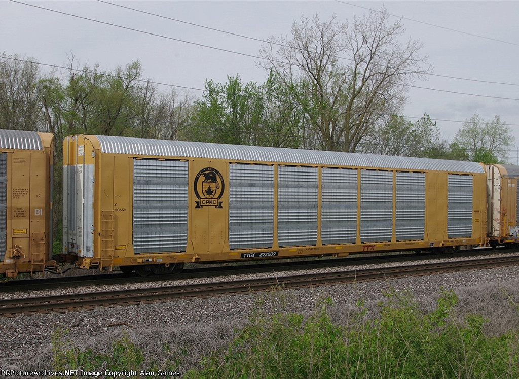 TTGX 822509